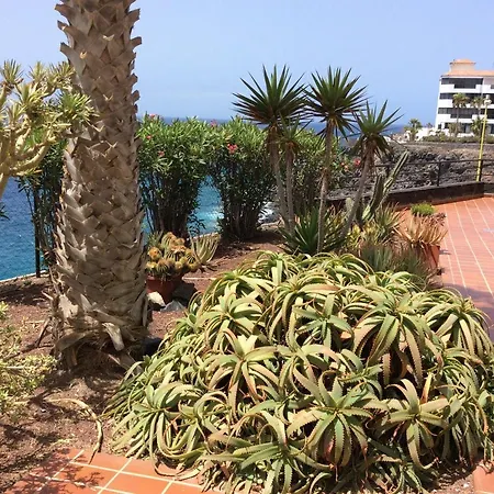 Lägenhet With Ocean Terrace *